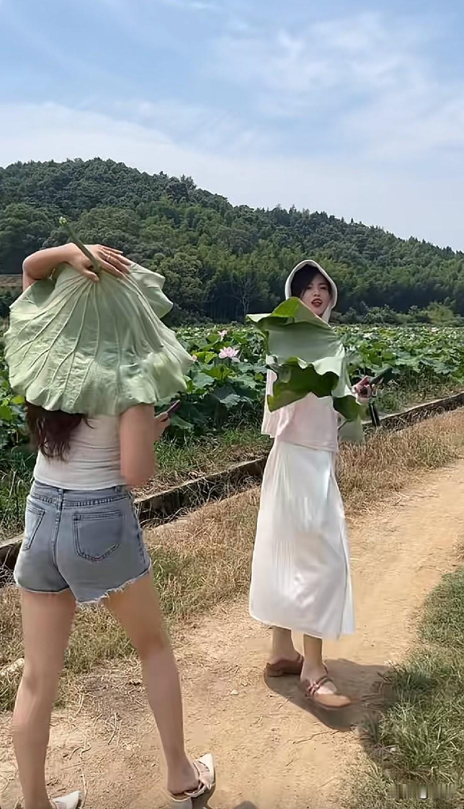 这大太阳，到处跑不怕晒黑了