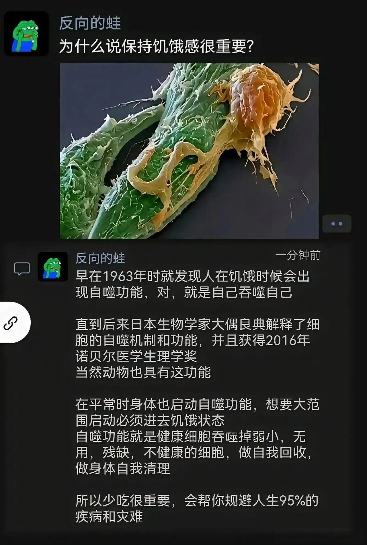 科学家：想要身体健康就得经常饿肚子