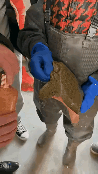 被鳖咬着怎么才叫它松口?非常简单，不听话，想找死，就成人之美，用一把快剪，咔嚓