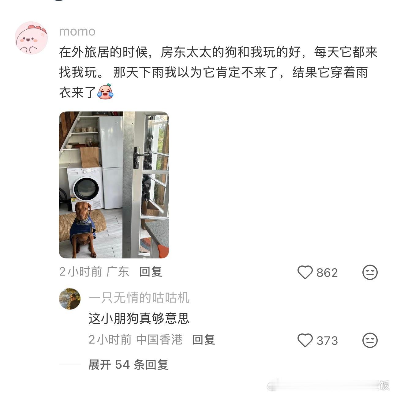 原来人真的可以这么主动