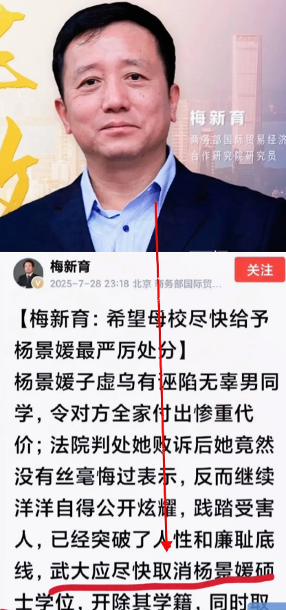 正义的声音出现了！事情之所以发酵迅速，原来是武汉大学icon的梅新育发起了个