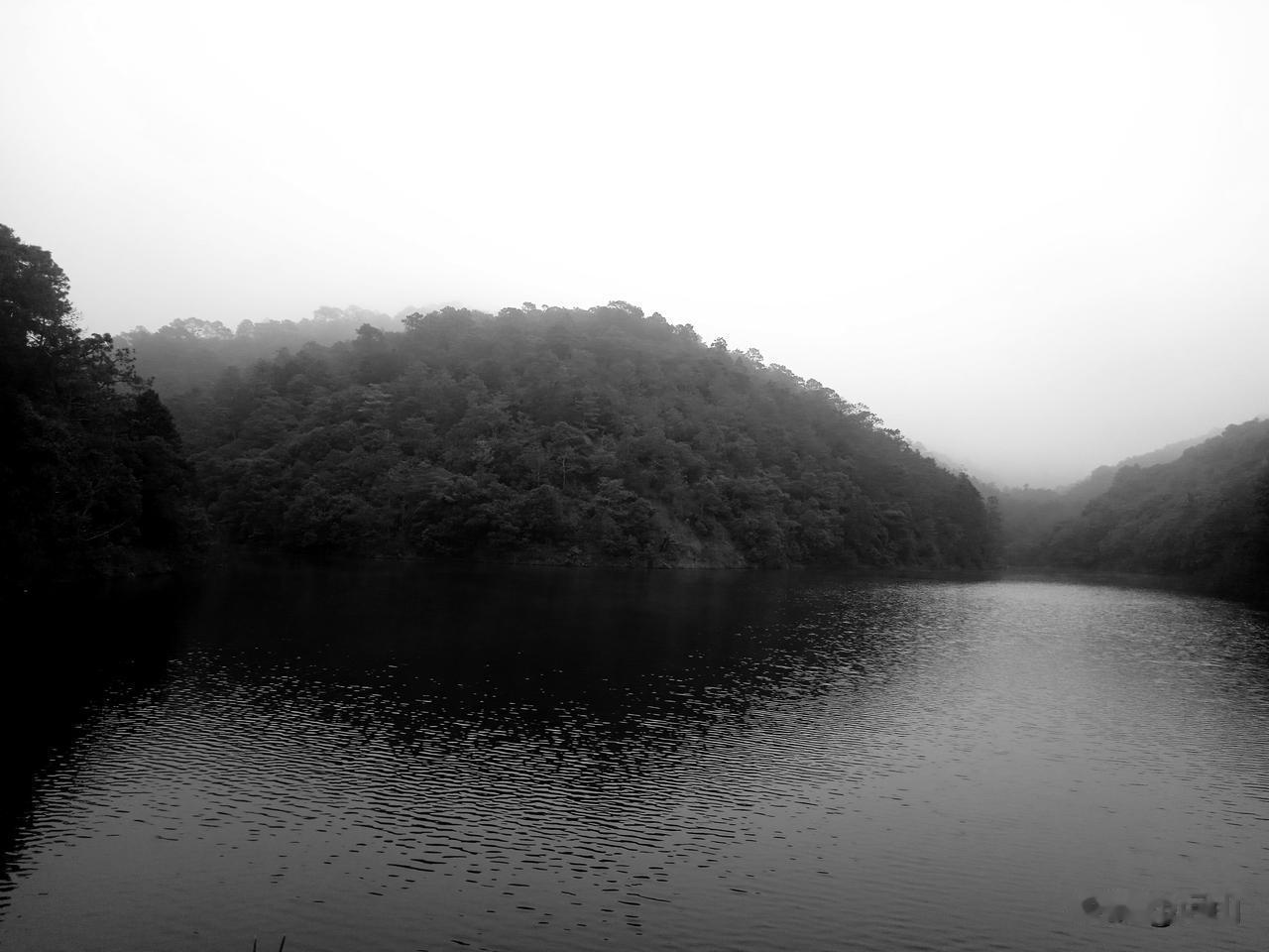 三姐的婚姻，太不幸。小姑娘的时侯，三姐每次谈恋爱，我爹都嫌小伙子没钱，没有同意。