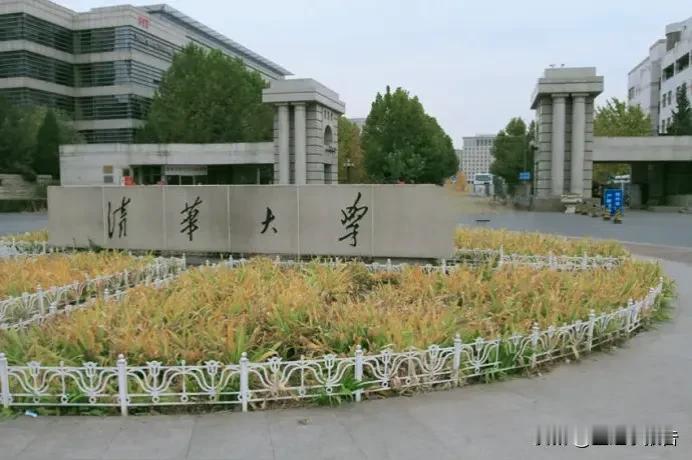 大学和中小学不一样，大学不是全额拨款事业单位。即使是清华北大也是一样的。