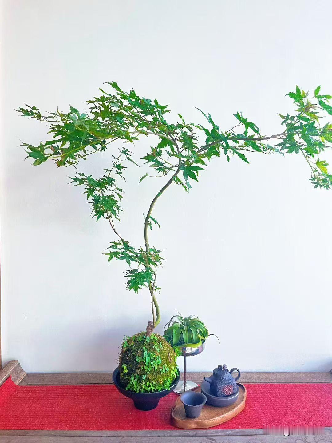 为什么现在越来越多的女性不想结婚?说白了，传统的嫁娶模式消耗了女性的能量。