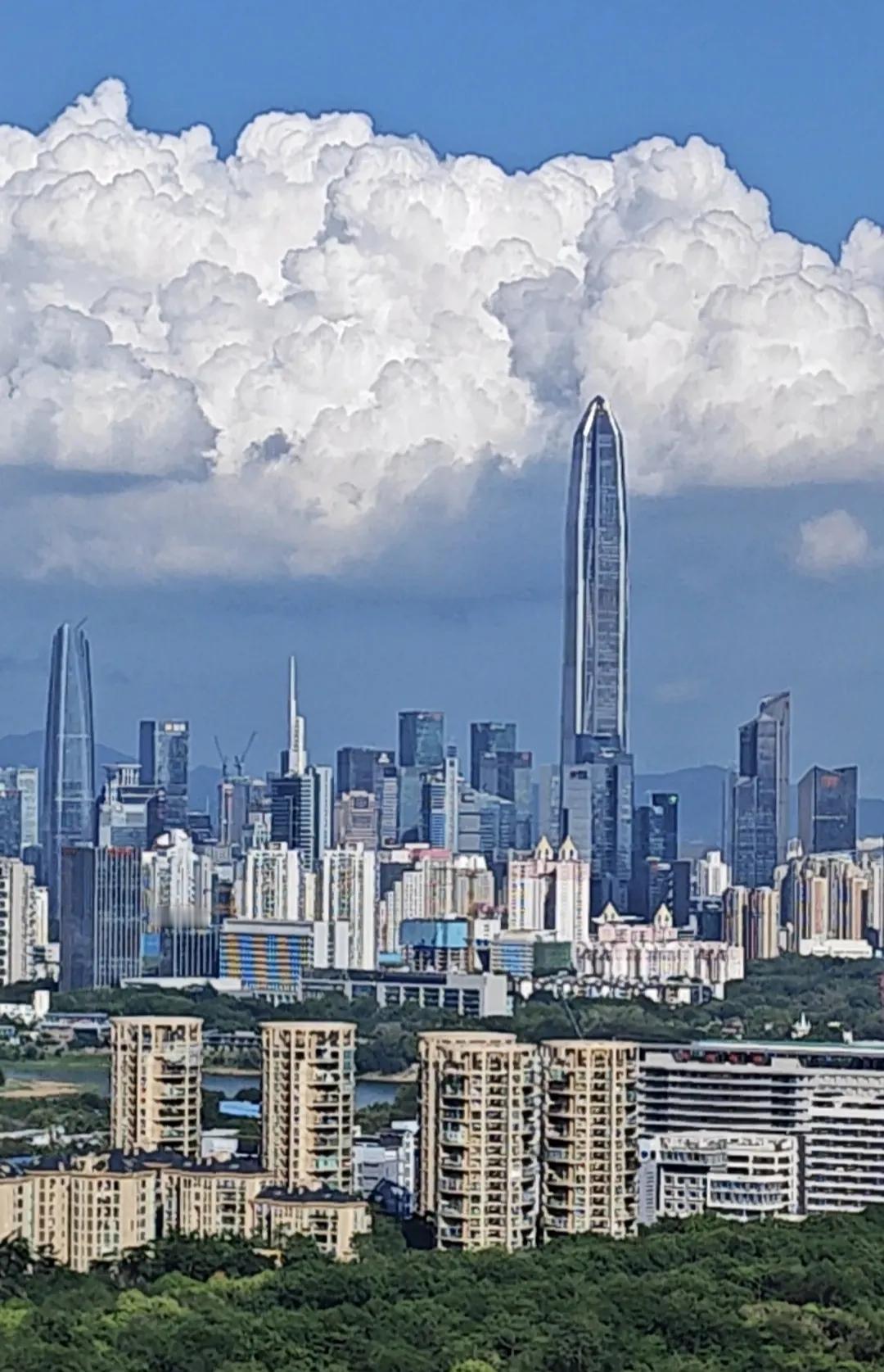 所以说说深圳的优点，来深圳之前以为这座城市只剩下高楼，来深圳之后发现深圳的绿化还