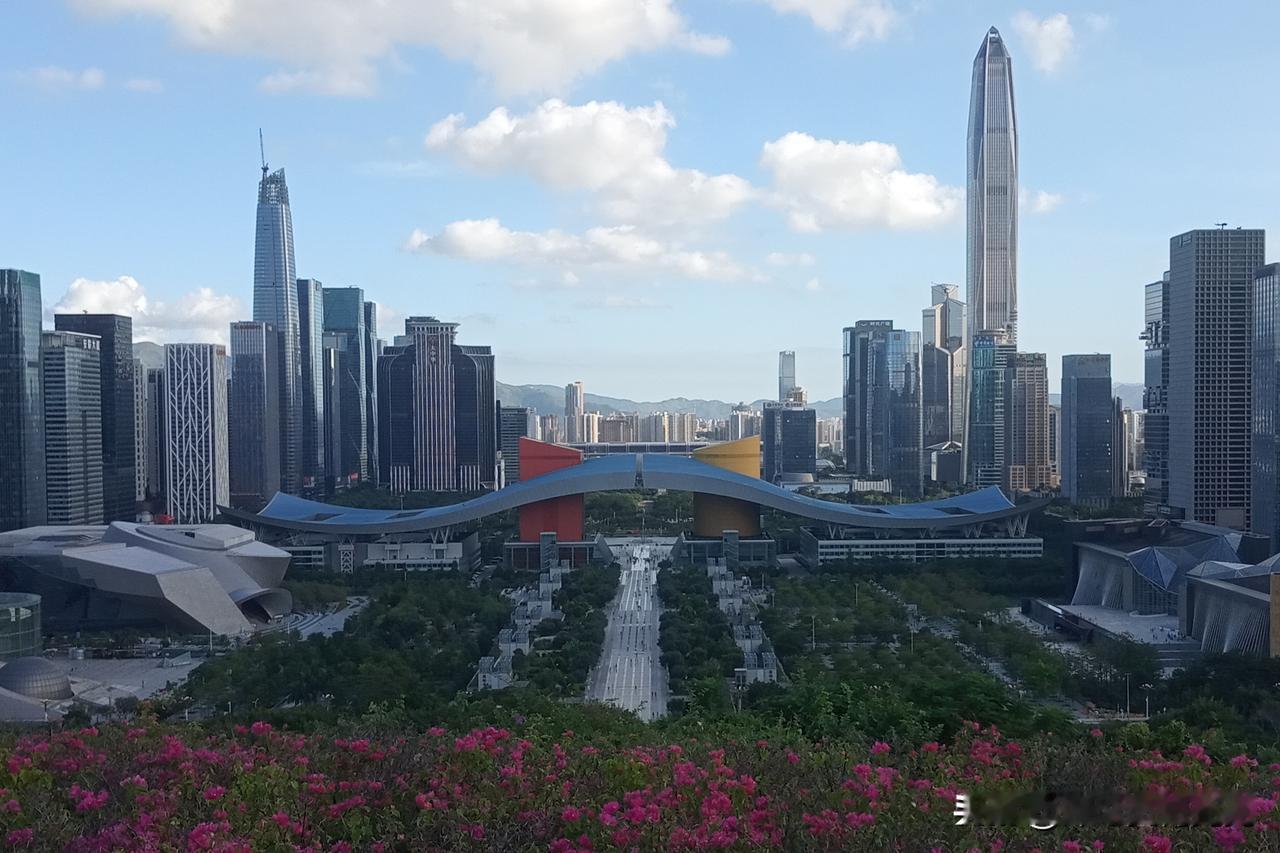 深圳科技有多强？美国禁了深圳无人机，结果自己造不出来！偷偷跑华强北买零件人肉