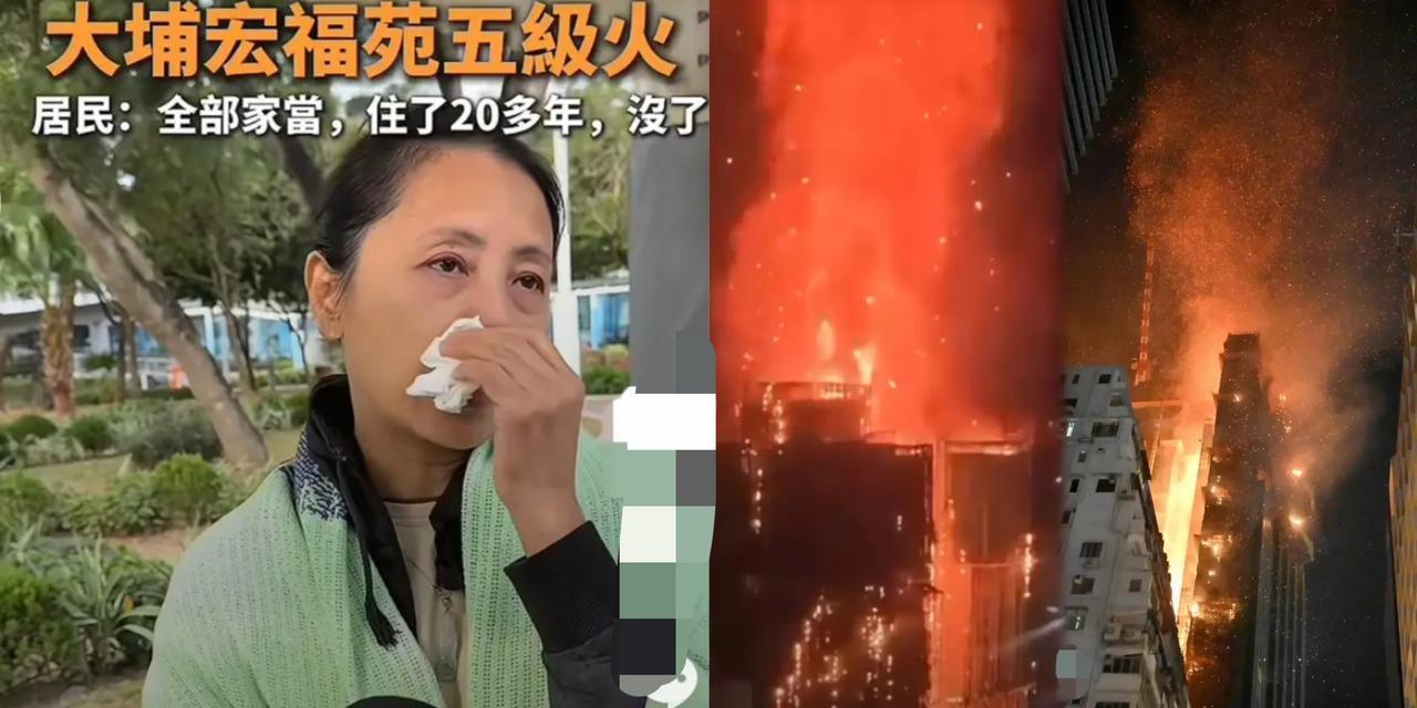 香港那位哭到没眼泪的女士，谁看了不心疼？一辈子的血汗钱，全砸在那4