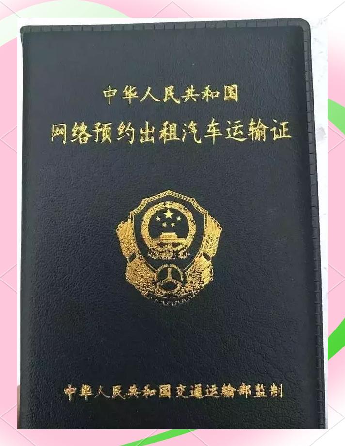 2026年1月20日，四川资阳市正式暂停中心城区网约车运输证新申请，成为本年度首