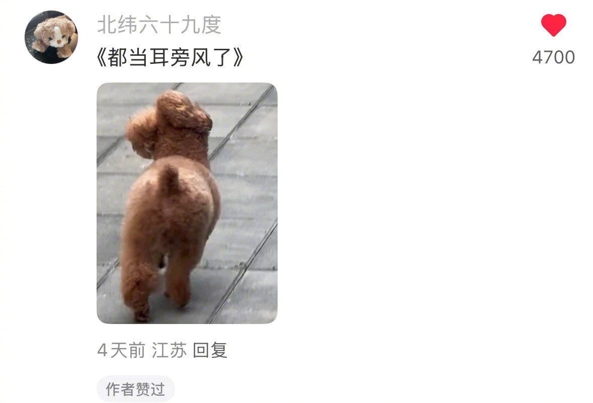 “您已被动偏航，已为您重新规划路线”