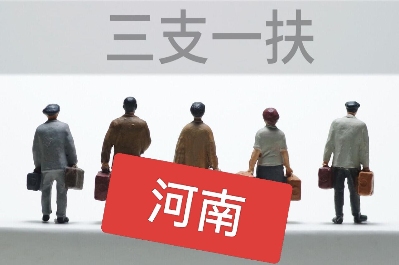 说实话，看到河南这次"三支一扶"的成绩单，我的第一反应是：这巧合，未免太"精准"