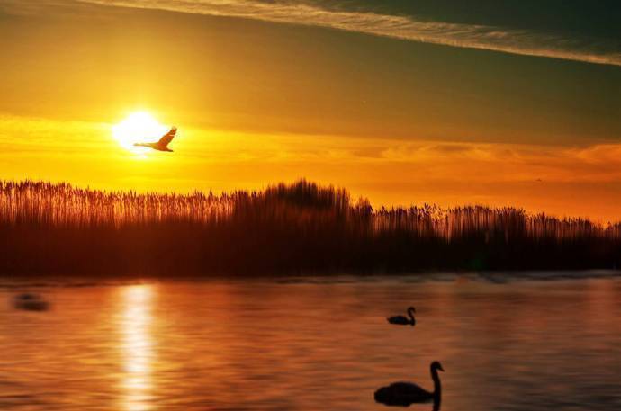 夕阳池上风烟好，渔舟唱晚丹霞妙…随手拍