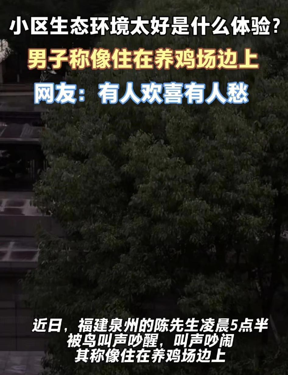 福建泉州有网友反映自家所住的小区生态环境特别好，带来的烦恼就是每天早上四五点就开