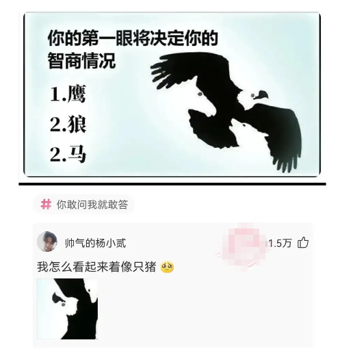 你的第一眼将决定你的智商情况