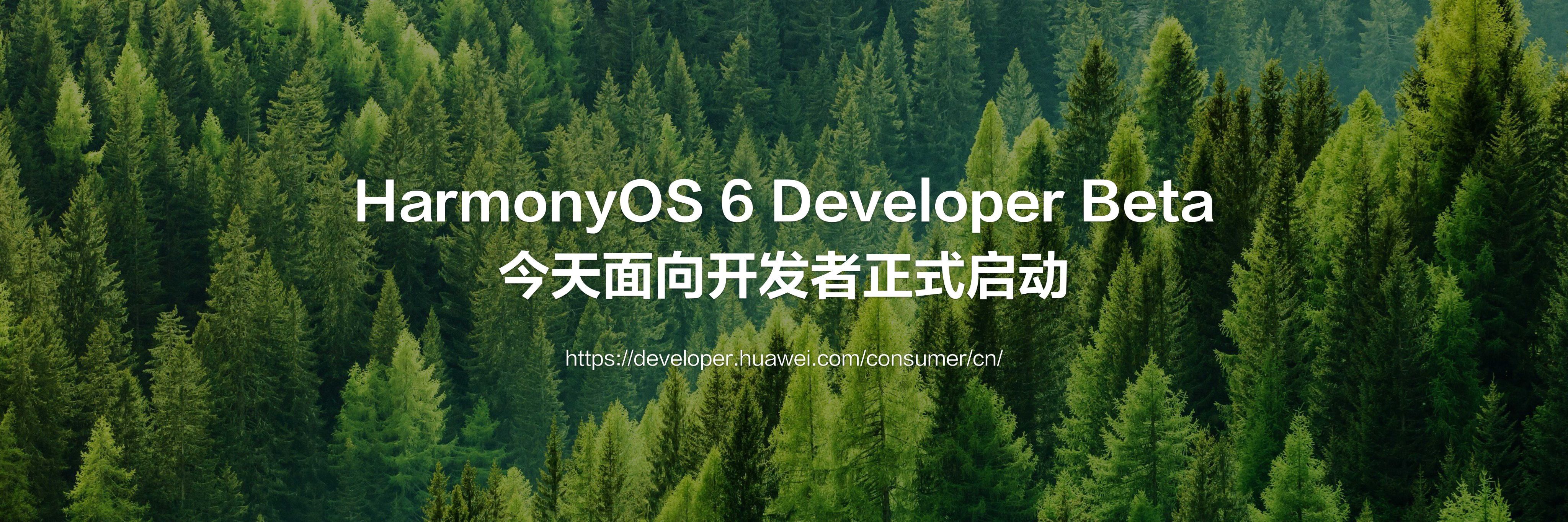 华为开发者大会炸场了！作为第一批鸿蒙用户，看到HarmonyOS6Devel
