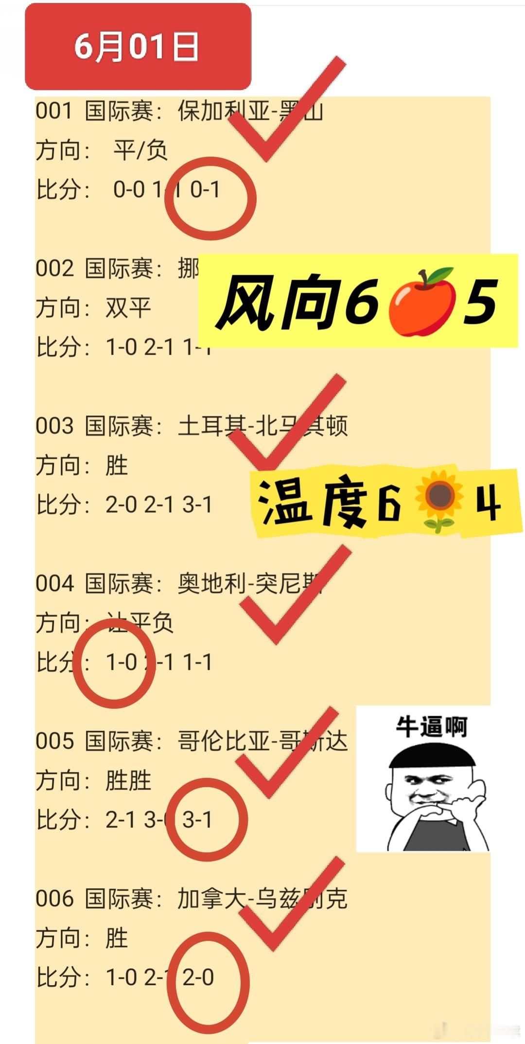 努力不是为了超越谁，而是为了在尘埃里开出花，证明自己从未辜负时光。人生没有白走的
