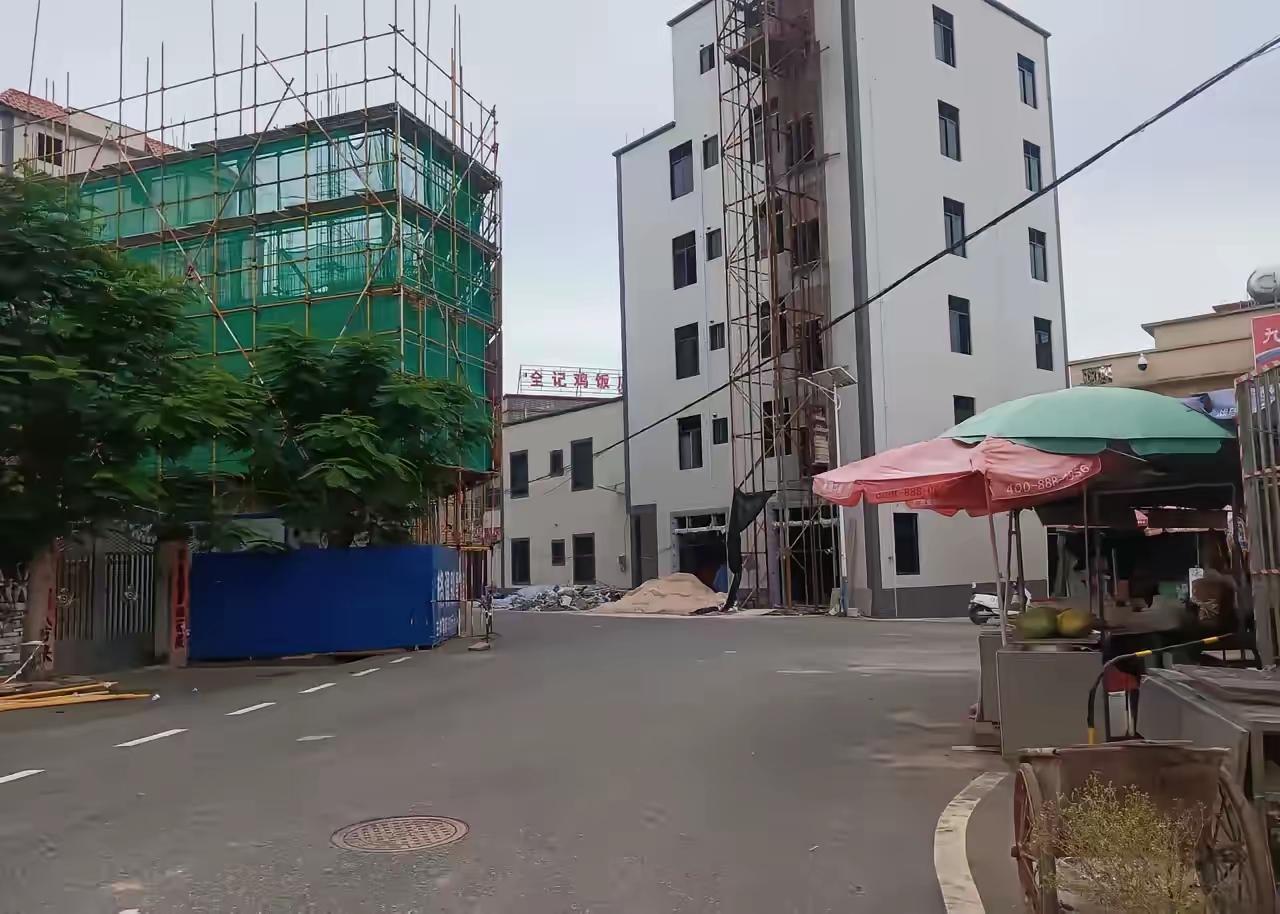 全文茂多少高估了游客对全红婵兴趣的持续期，跟村里租赁的用来开批发仓的场地，竟然是