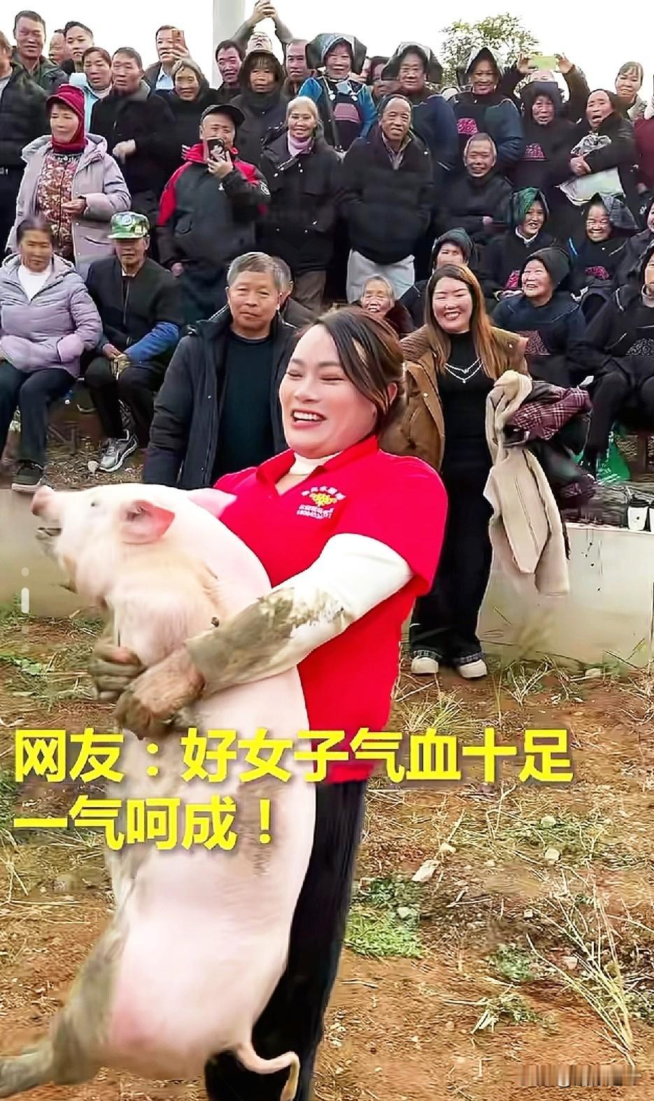 贵州瑶乡上演“女子抓猪大赛”！正好要过年了，抓回家“杀年猪”太美啦！红衣服大姐