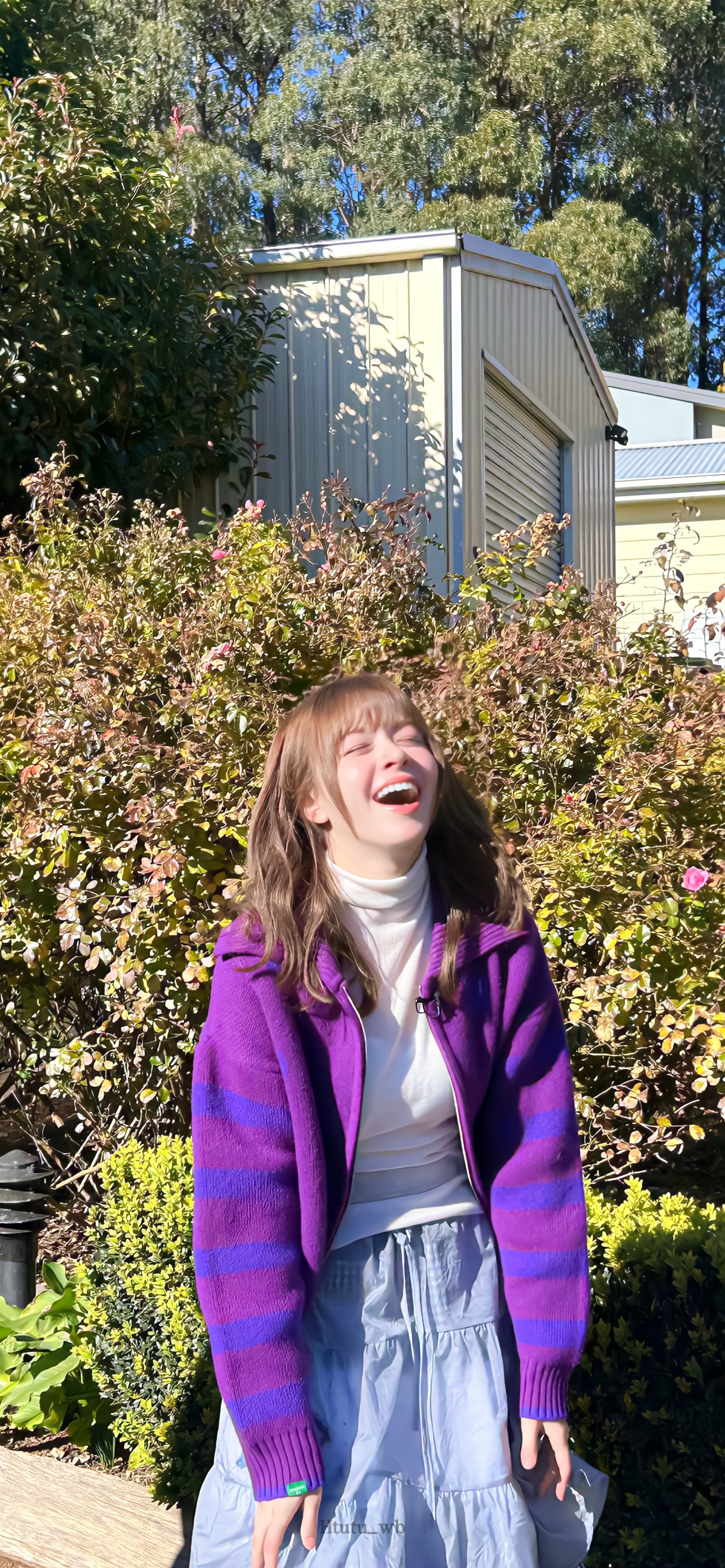 Lily壁纸😺🍃​​​