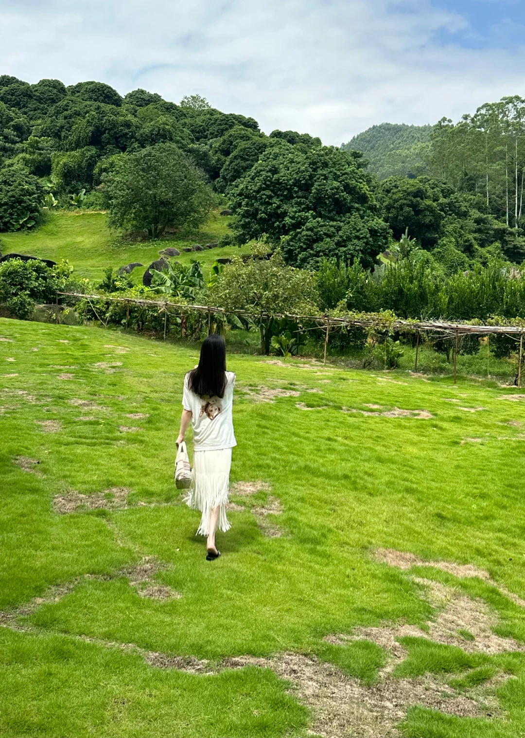 被山风吹散的夏日，住进了森林里的治愈果宿