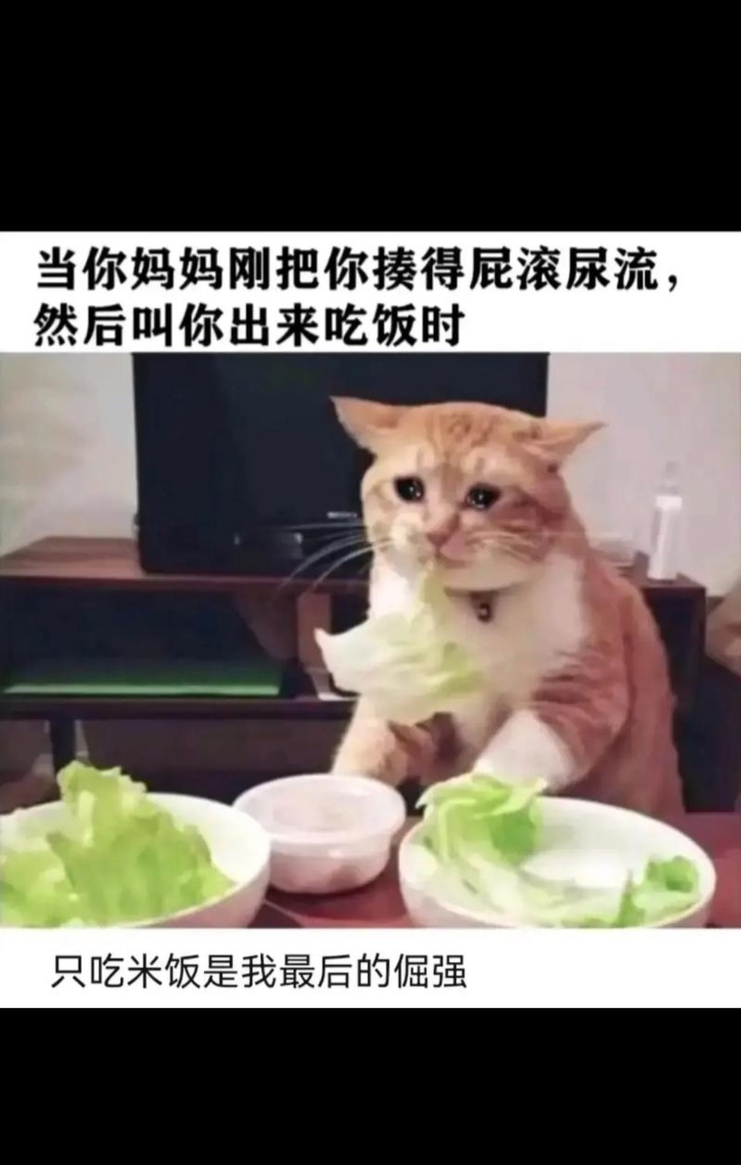 只吃米饭是我最后的倔强