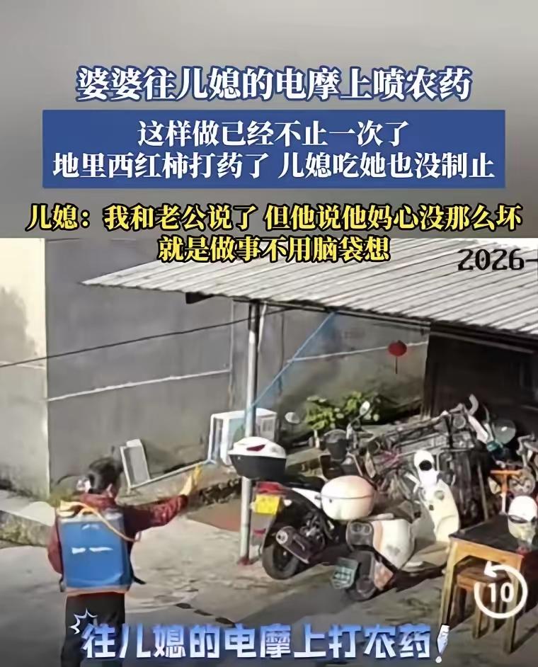 “这个婆婆真可怕！”一女子怀孕时，婆婆做了被毒死的鹅肉给她吃，自己却不吃。女子生