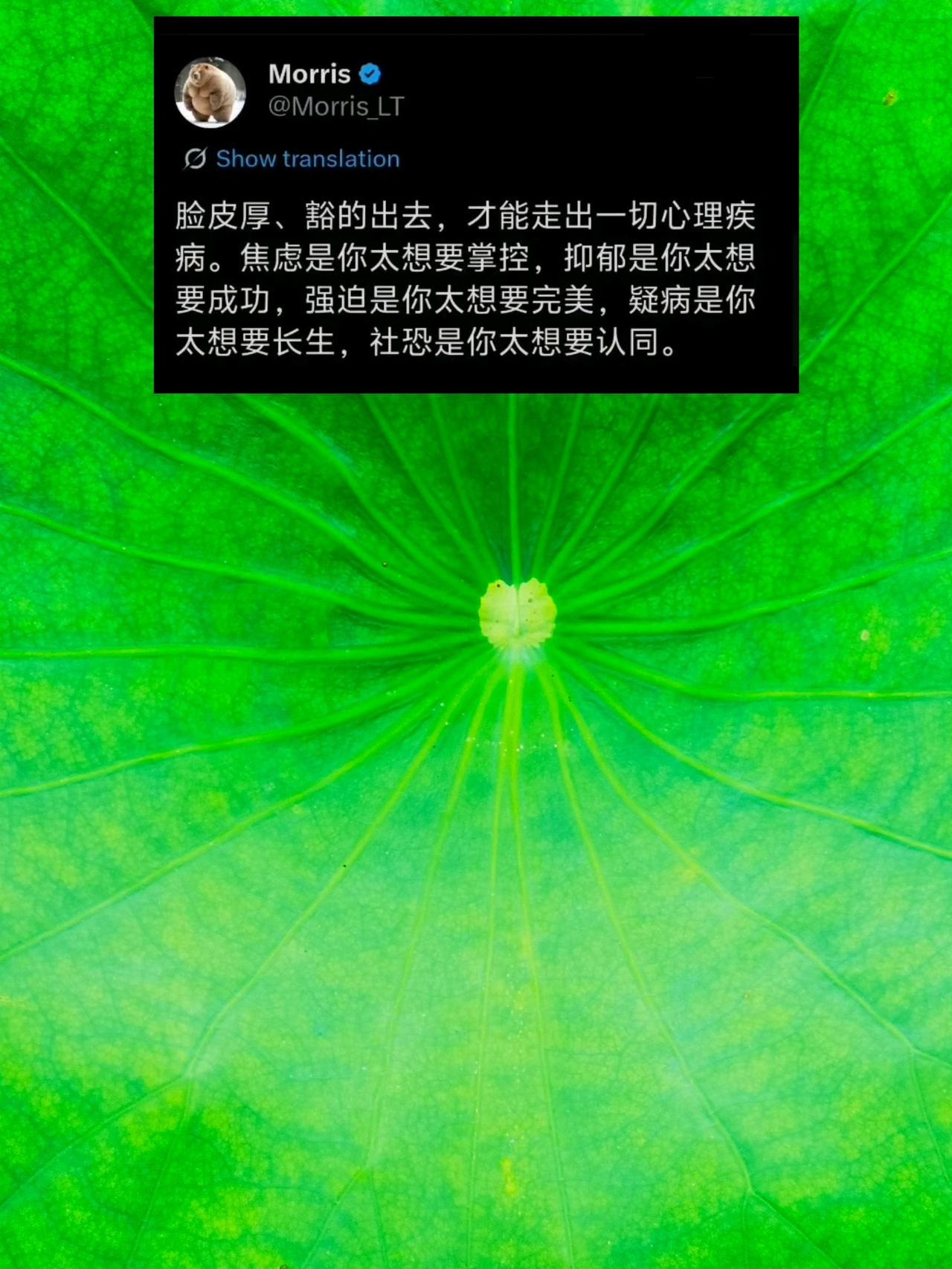 脸皮厚才能走出心理疾病！不与烂人烂事纠缠！毕竟防弹玻璃心，才能把烂人烂事反弹回