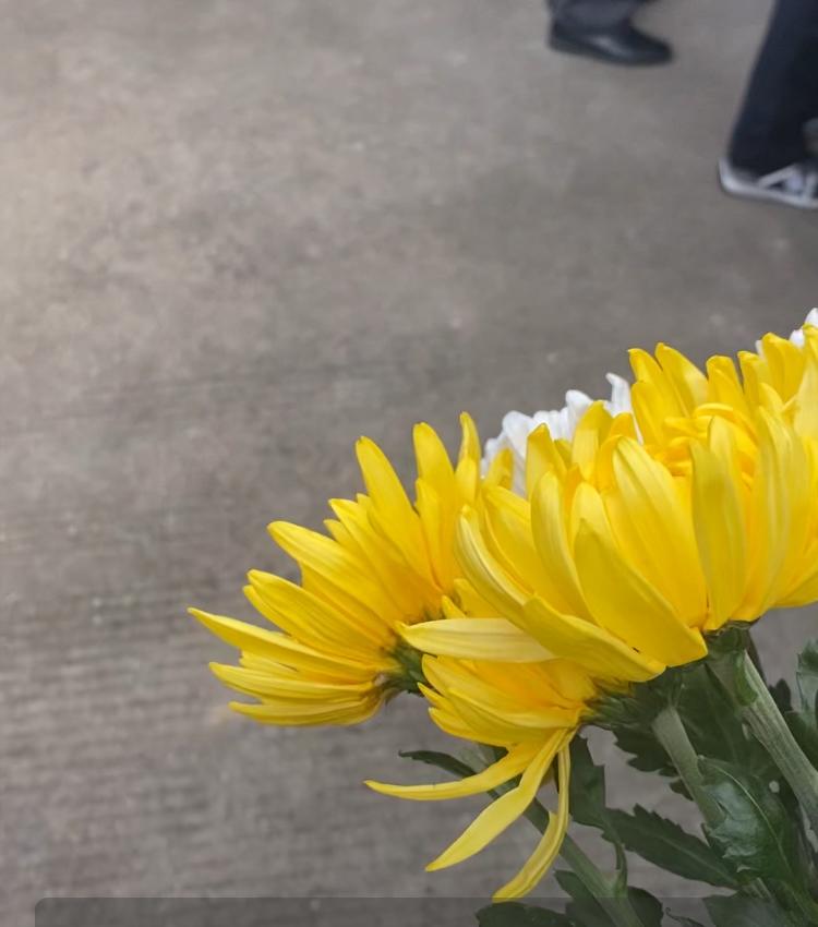 我朋友的爷爷是国民党军官，1949年去了台湾，留下16岁的奶奶和两岁的爸爸。能