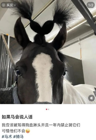 如果马会说人话