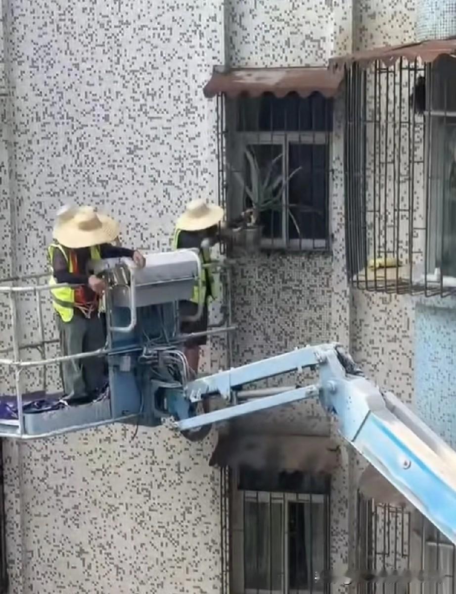 阳台绿植被剪得只剩“光头”！看这离谱操作！小区绿化修剪直接把业主阳台花草