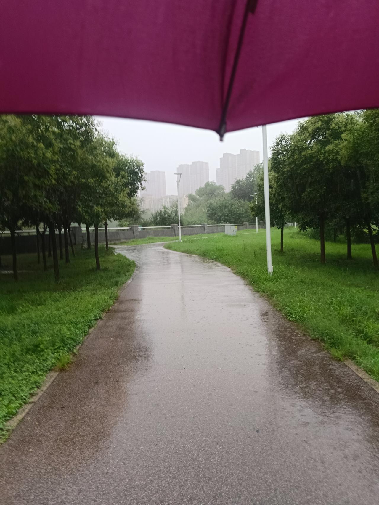 不得了啦！西安的天怕是要下漏了昨晚西安雨停了，天气预报说今天大晴天，而且一
