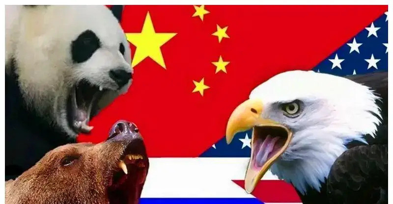 普京可能要后悔了---普京可能从来没想过，当初的“两弱一