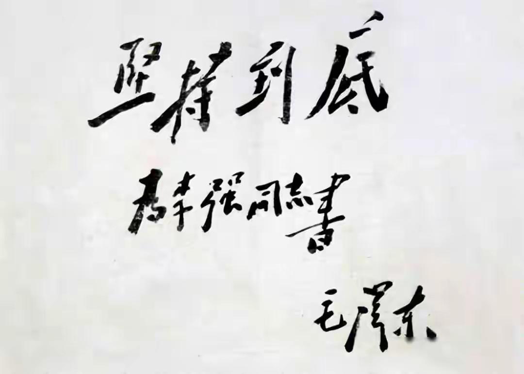 毛主席最罕见的4字楷书：坚持到底！气势磅礴大气！！与众不同！颠覆了我们的审美不