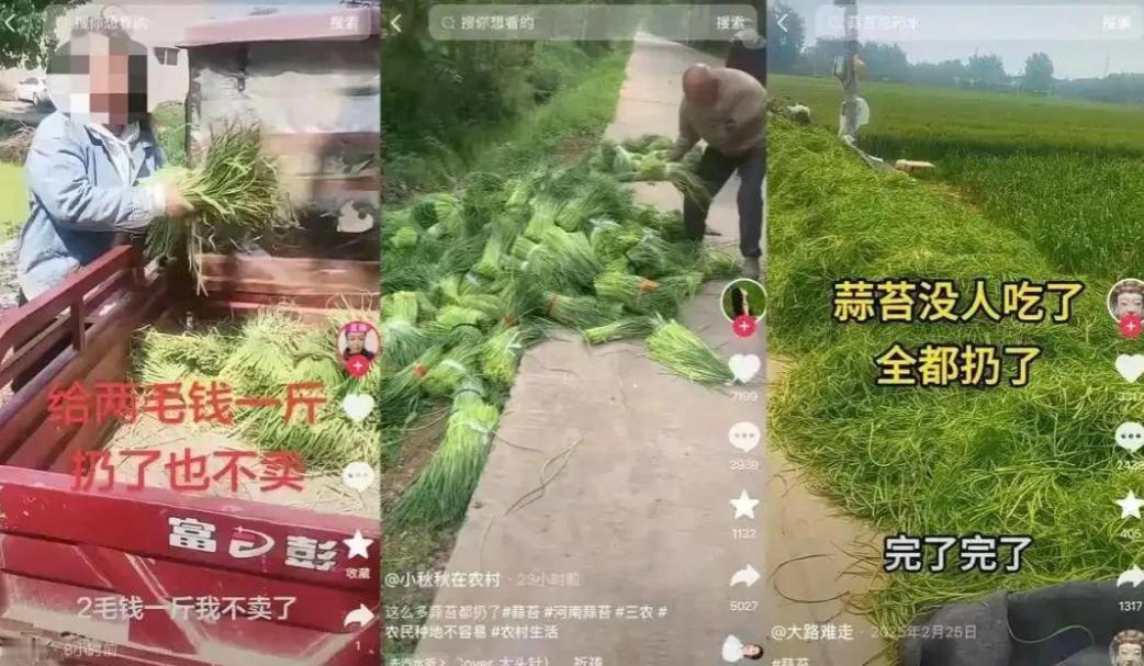 抽蒜薹倒贴五毛！河南蒜农丰收变灾难：0.1元/斤收购价比草贱五一假期，当人们