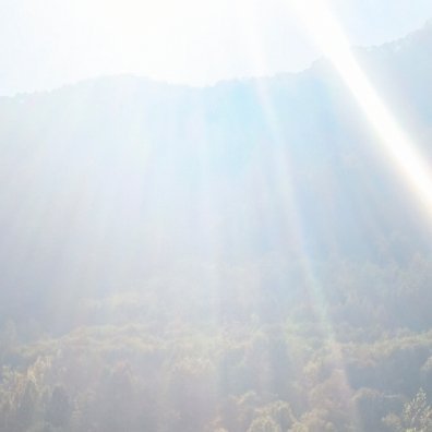 苹果种植方法一、科学田间的管理：每隔两年进行一次深耕，松动土壤，破除板结，增强透气性；每年进行一次中