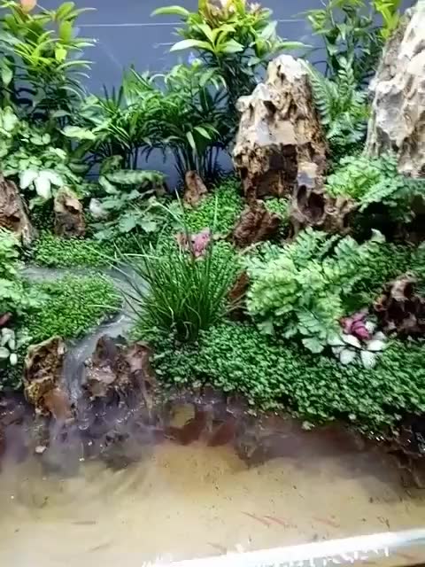 UG视频教程--UG8.0固定轮廓铣之边界的驱动方