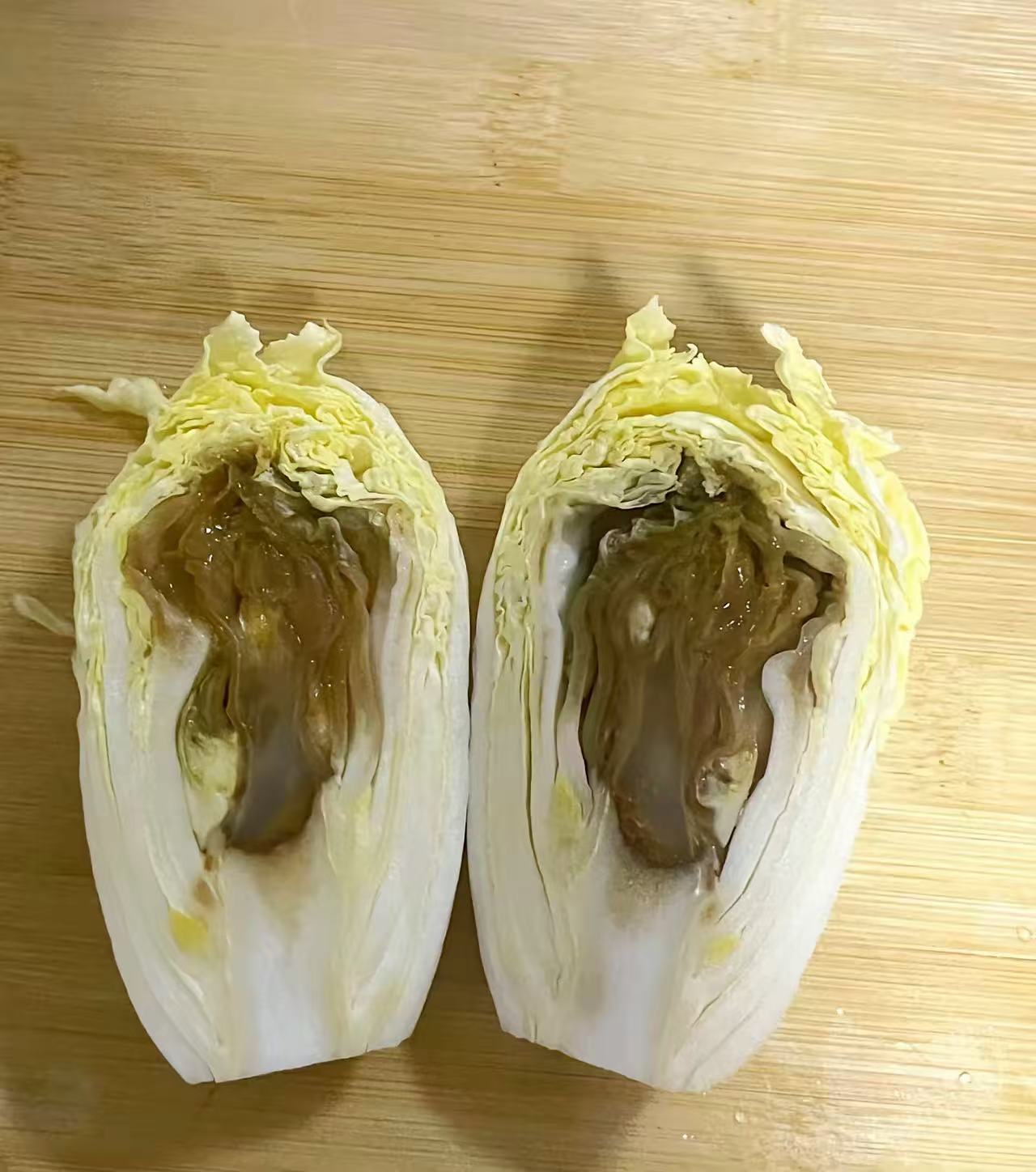 这个白菜切开后怎么是这个样子