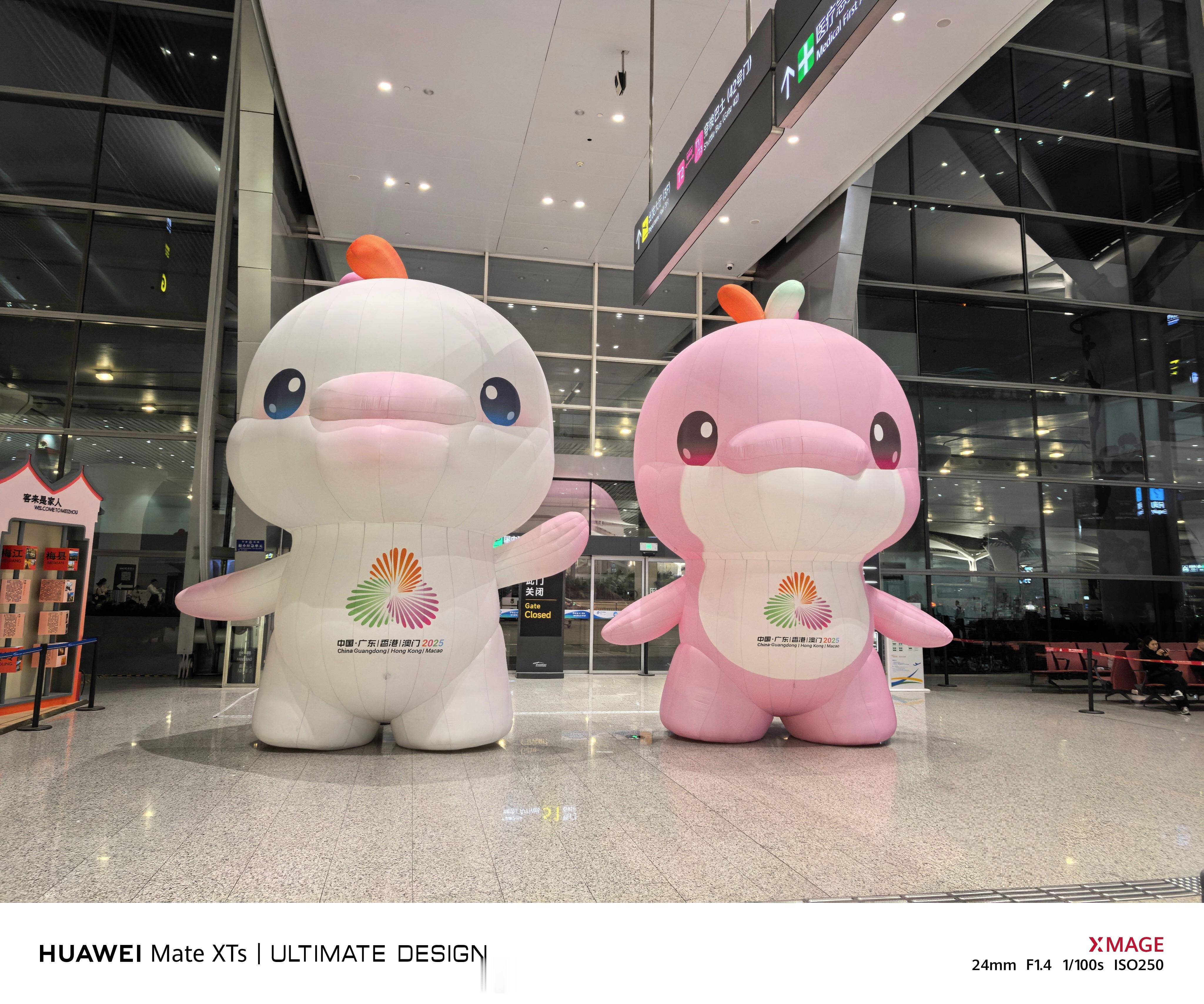 白云T2，好大只大湾鸡！广州·广州白云国际机场