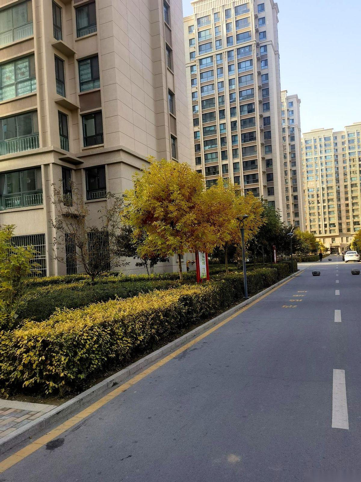 真的，只有北方有暖气的人才懂。一回家，门“咔哒”一关，把外面零下十几度的寒风和