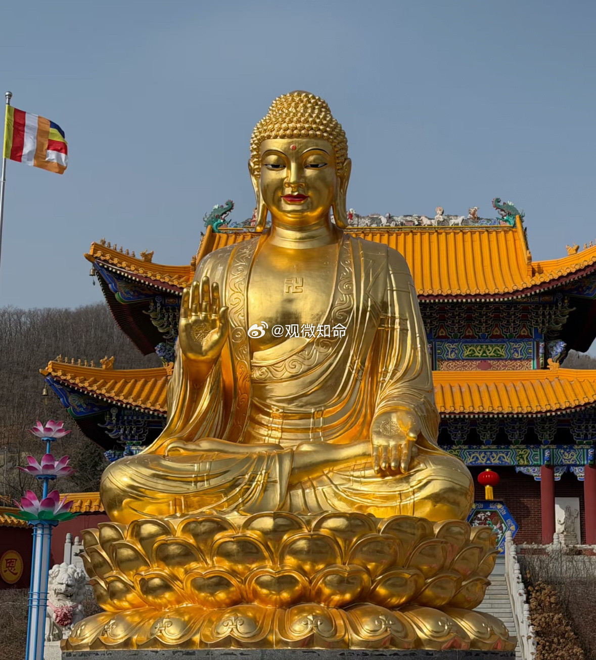 大金佛赐福，好运降临，接不接？​​​