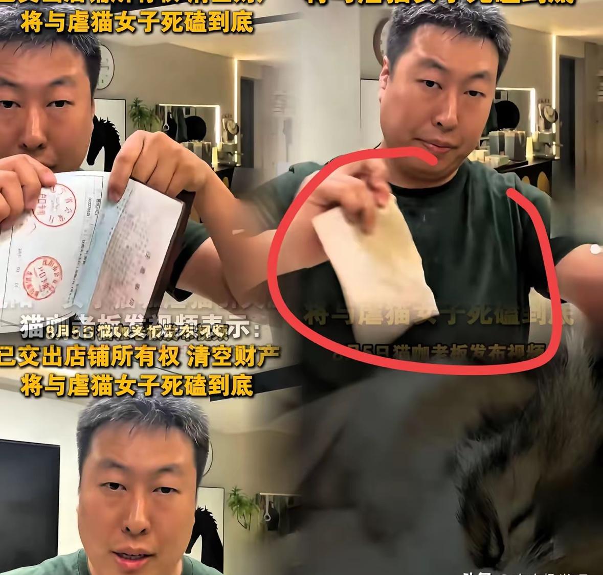 沈阳虐猫事件后续：沈阳的猫咖老板撕毁了自己的户口本和毕业证，并称所有权和财产都已