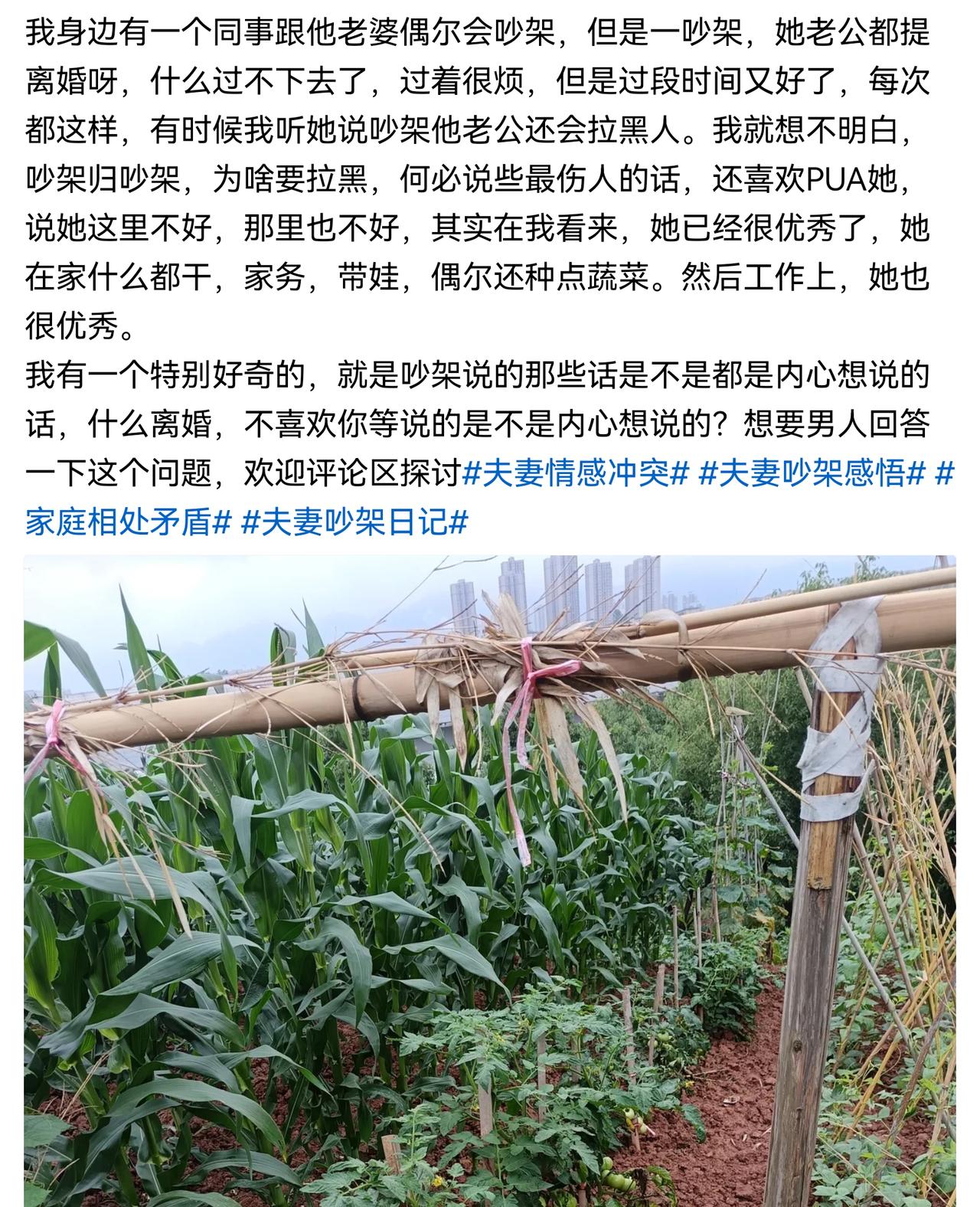 早点离婚吧，都挂在嘴边了，只不过是不是性别搞反了？