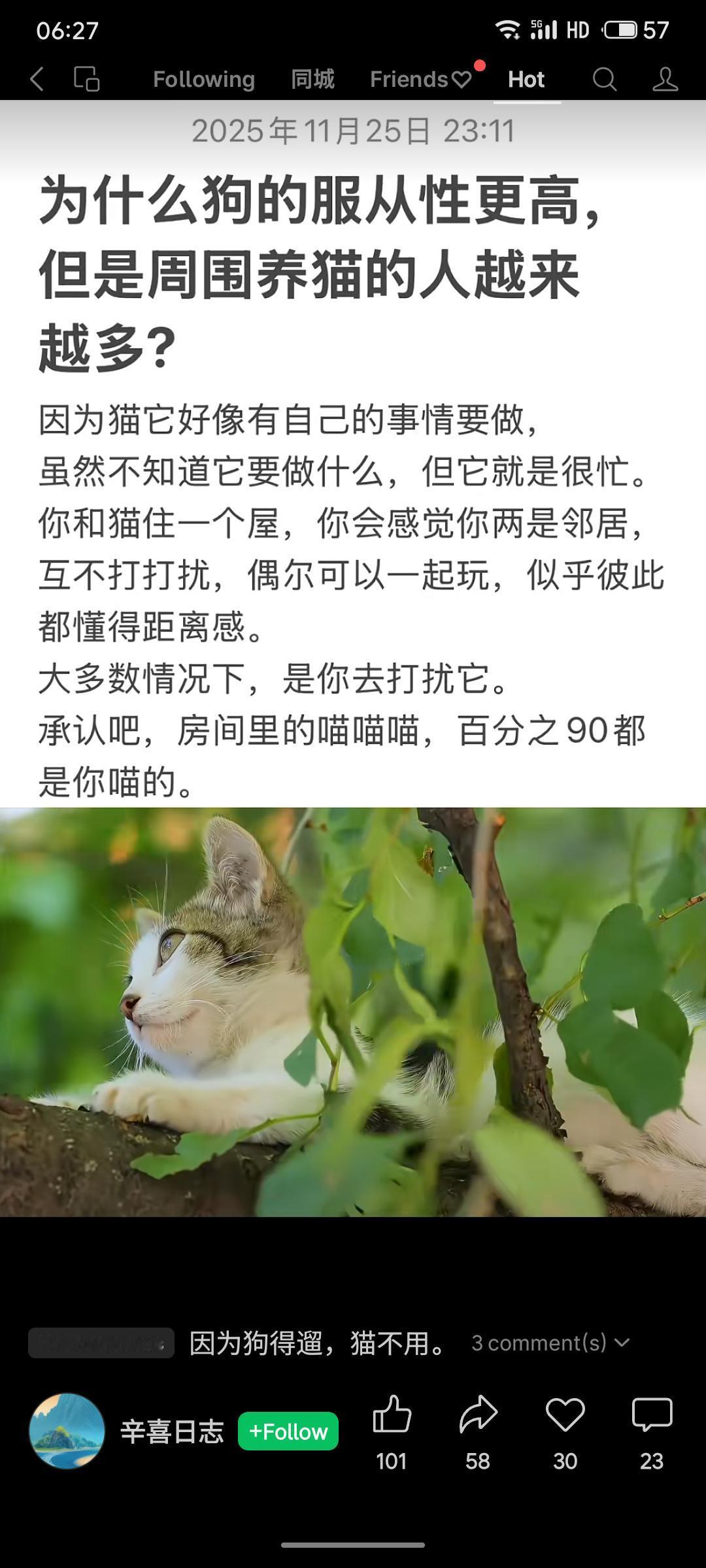 如今越来越多人选择养猫，是因为猫更独立自主，它与人更像是保持适当距离的邻居。彼此