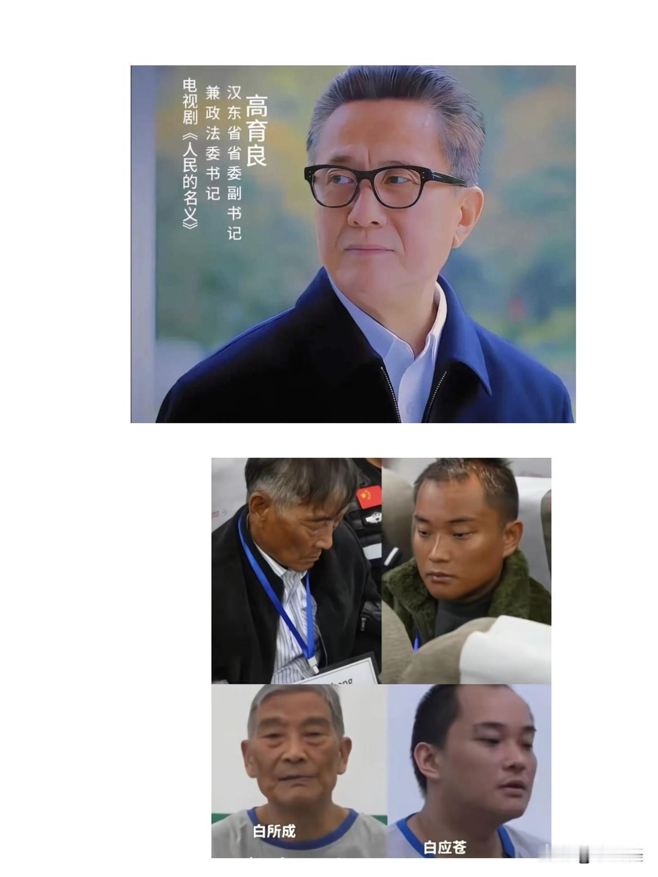 巅峰时期的高育良和巅峰时期的白所成家族哪个比较强一些？