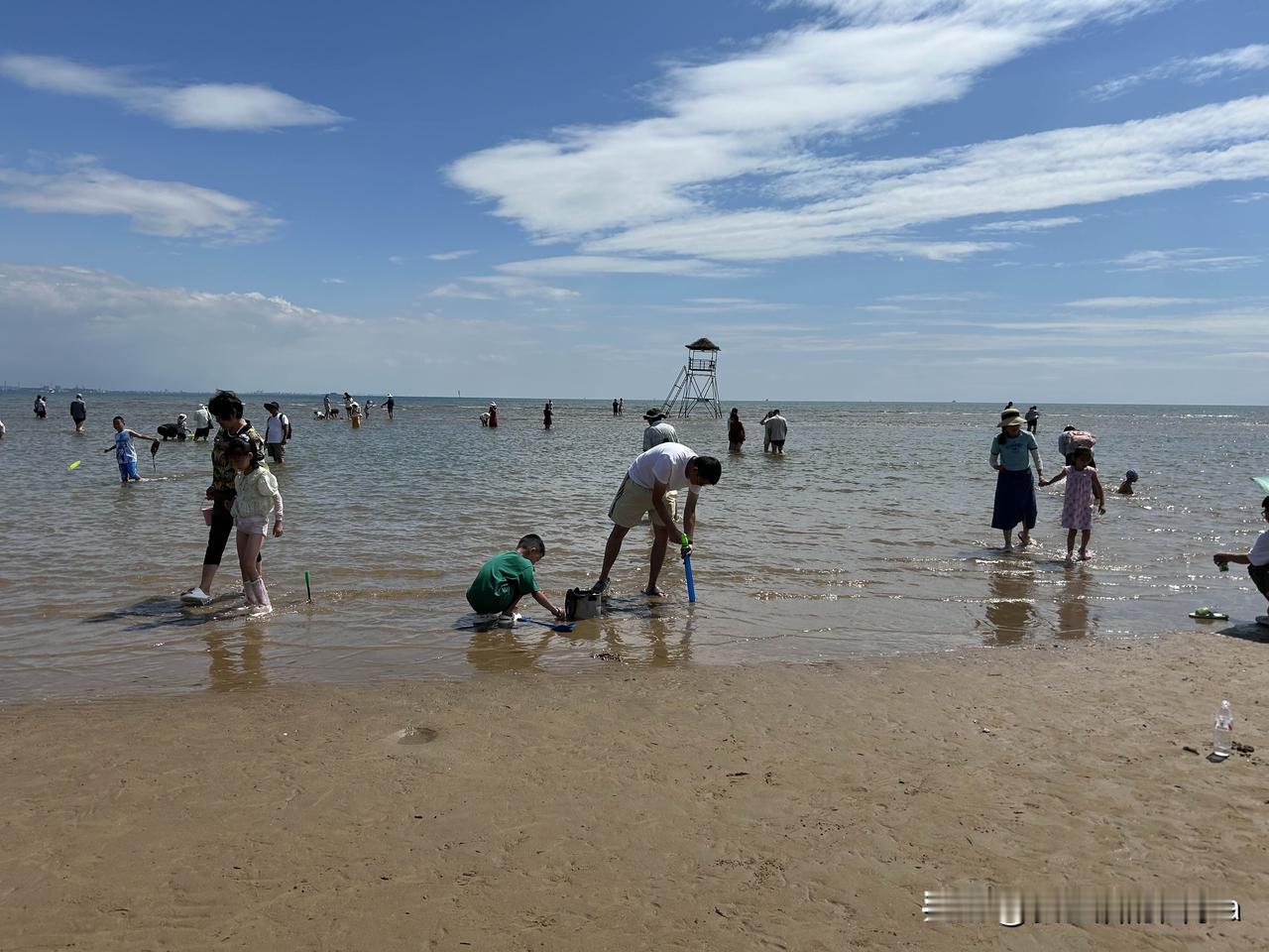 北戴河—鸽子窝，门票35元。这里以观日出、湿地生态和人文景观著称。这里有