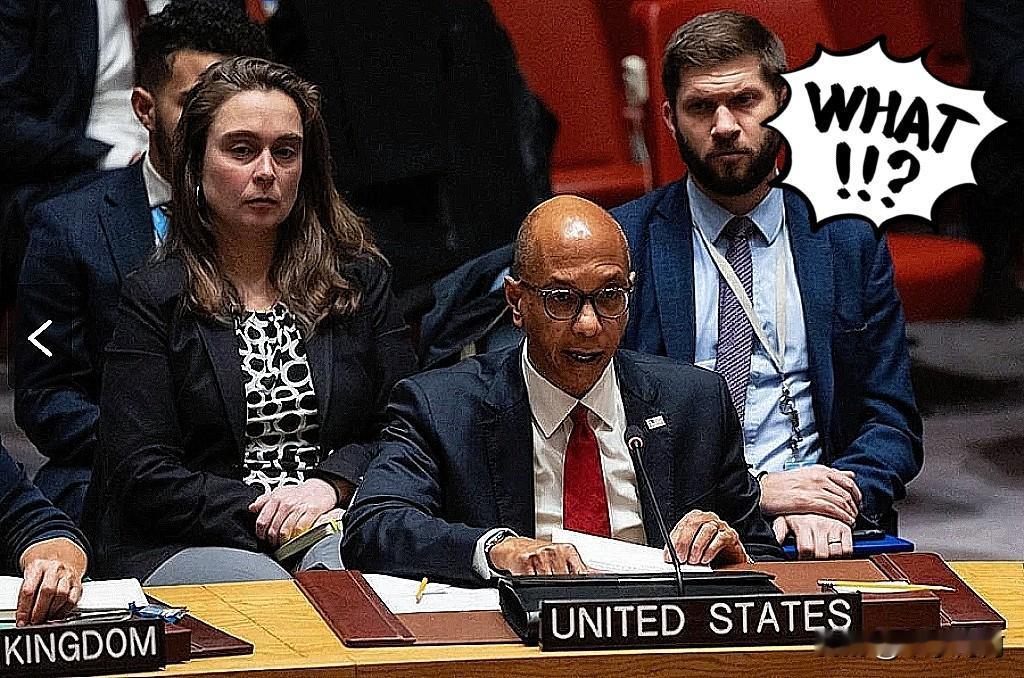 刚刷到一件事，我愣住了！一边说，俄罗斯经济虽说不算景气，但网上说它把联合国的