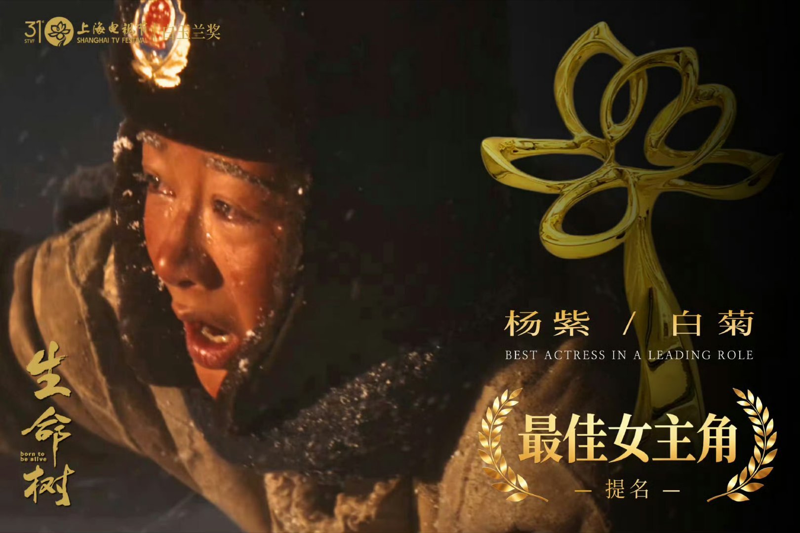 第33届金鹰奖提名名单首先恭喜我们生命树再次横扫第33届金鹰奖电视剧类全部提名！
