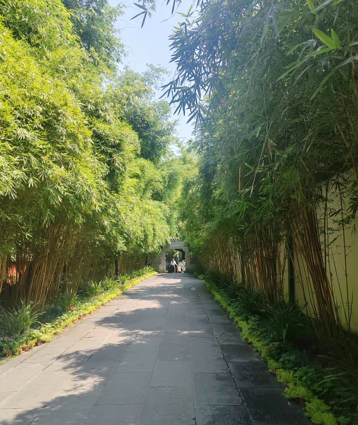 常听人说：