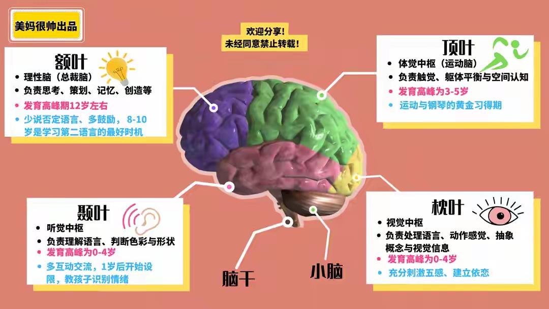 “用什么方式与孩子沟通与鼓励！”每天上学前跟娃说这5句话，孩子能量越来越高，
