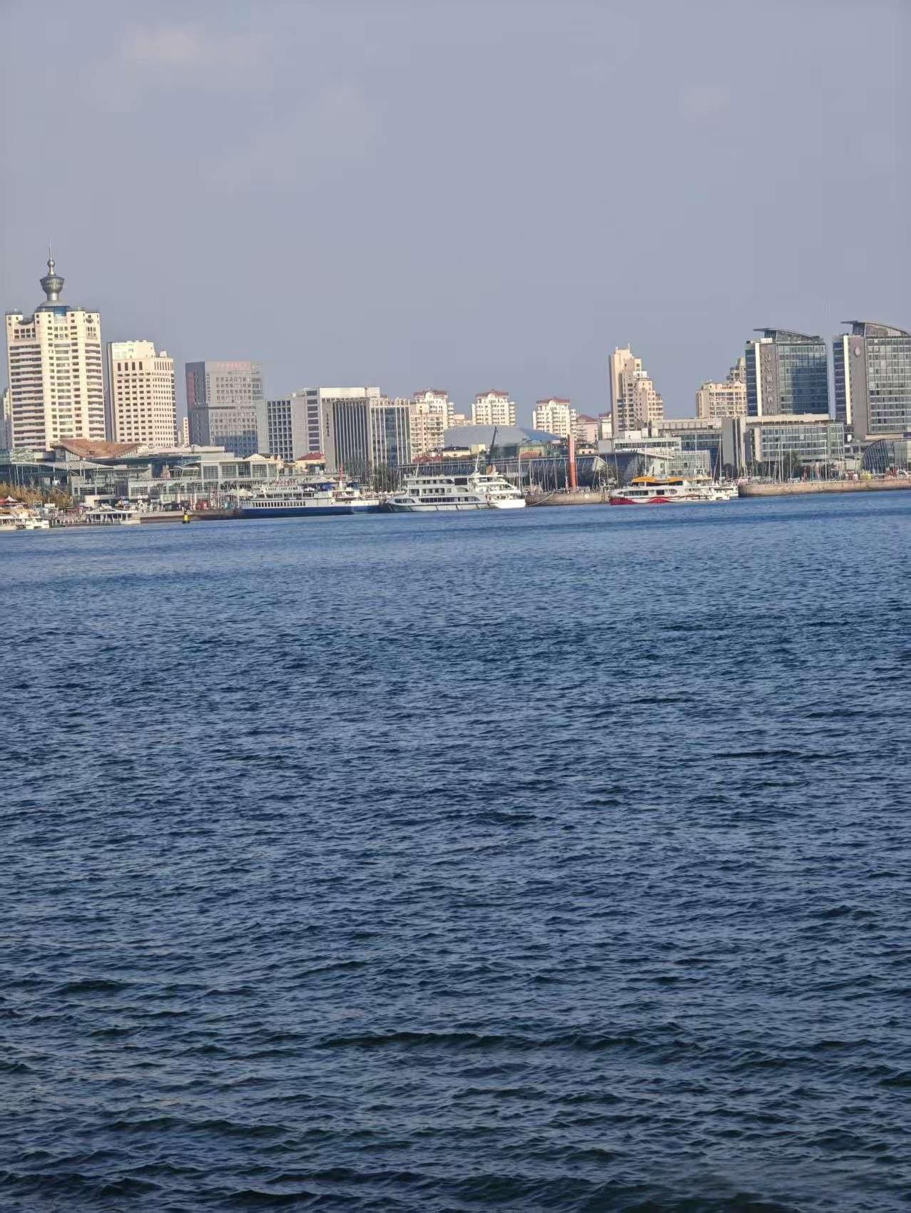 姐姐的女儿大着肚子在上班，下班后因为一点小事夫妻俩吵架，姐姐的女婿打了姐姐的女儿