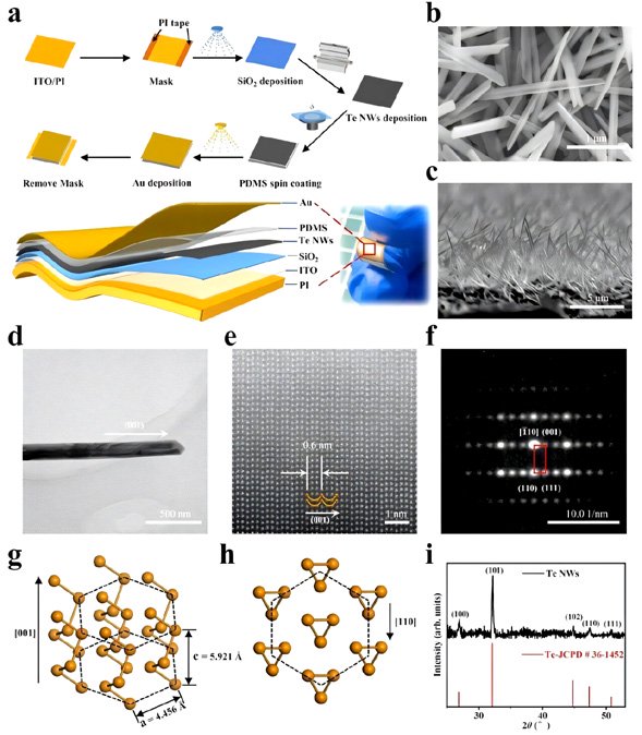 新型传感器采用单层材料可测量应变、应变率和温度